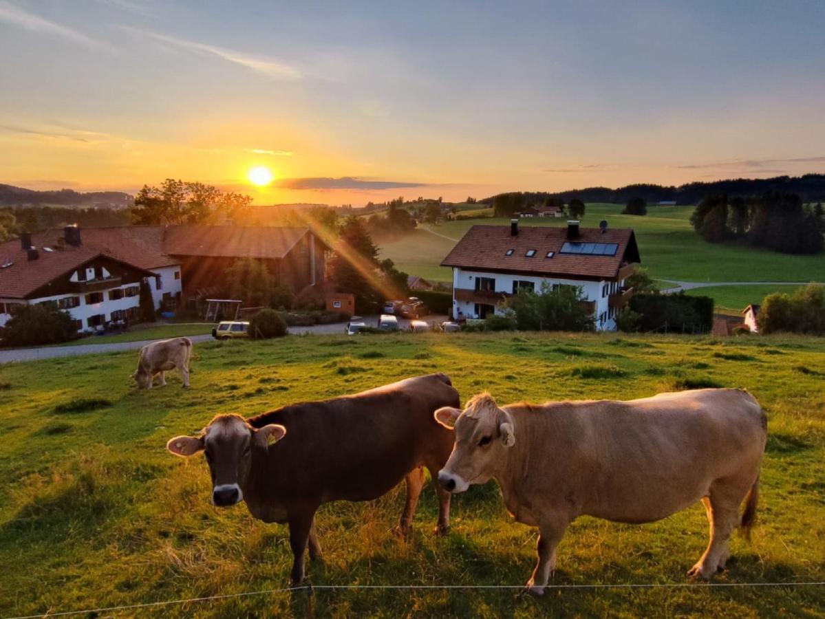Ferienhof Hefele Lägenhet Hopferau Exteriör bild
